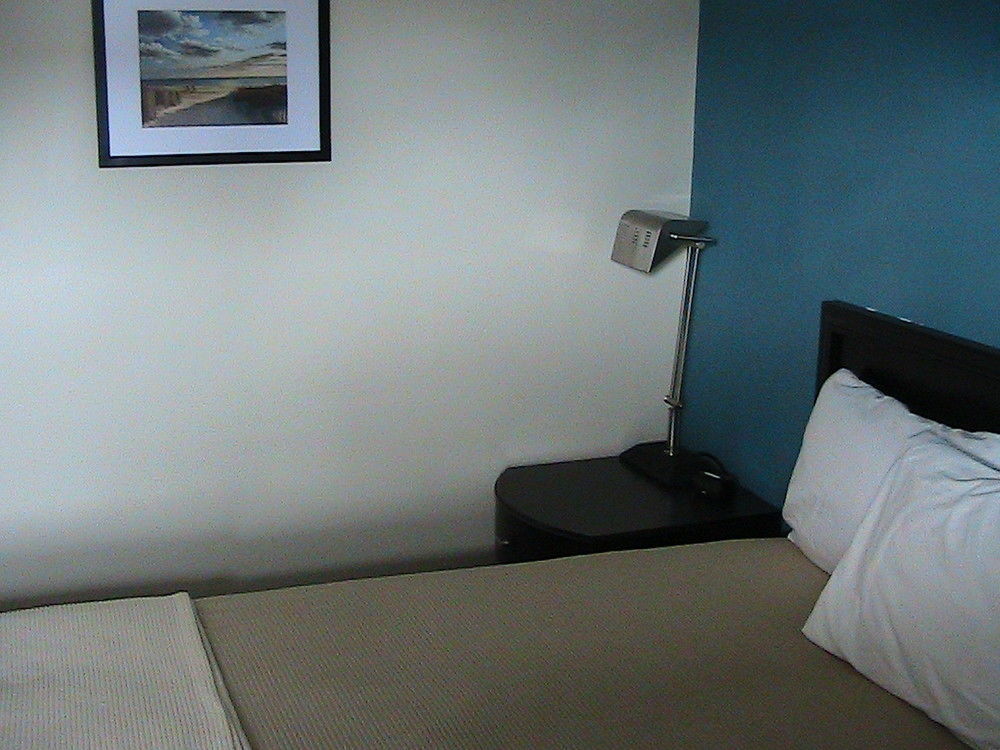 Shore Point Motel Пойнт Плезънт Бийч Екстериор снимка